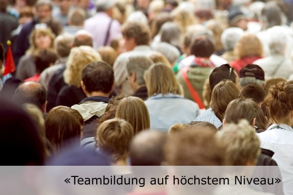 Qualität in der Teambildung